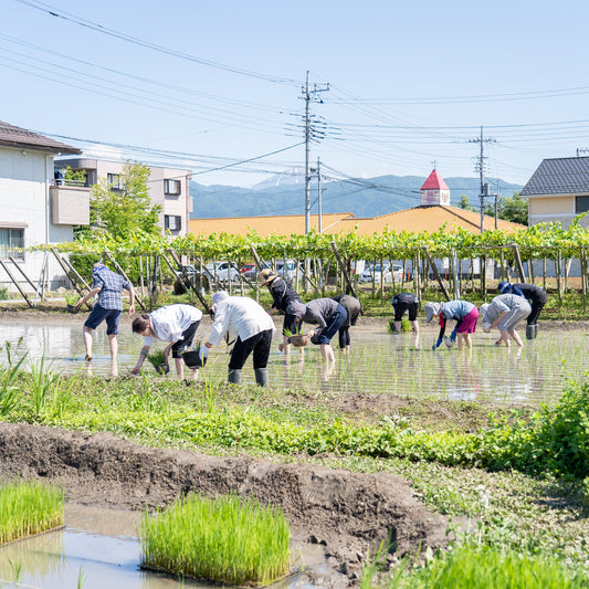 第58回『ふとまにの住処LIVE』 6月15日(木) 19:00〜20:30開催！