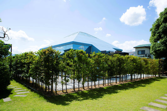 【4月2日（木）】白川学館学びの会 ～祓いの響きから意識と在り方を知る～ ＠MUSUHI Terrace大阪